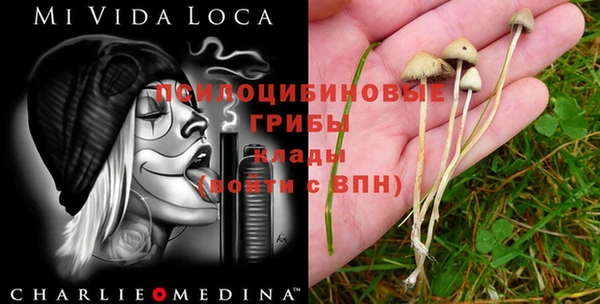 трава Баксан
