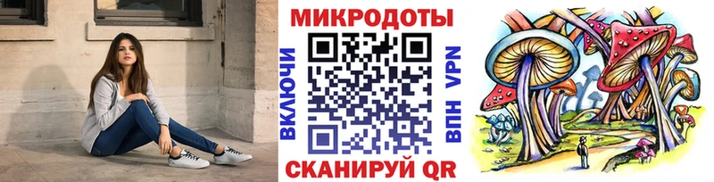 Псилоцибиновые грибы мицелий даркнет формула Чистополь